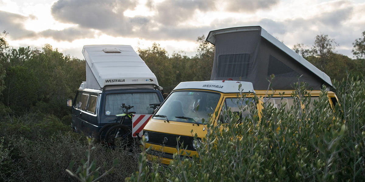 Two Insured Campervans in the nature